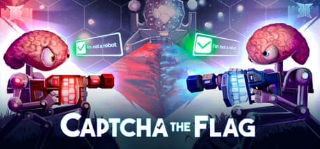 Captcha The Flag